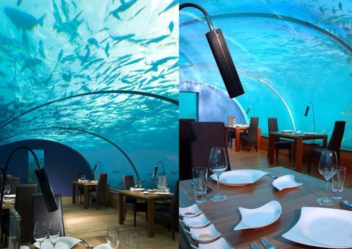 Путешествие на Мальдивы Ithaa Undersea Restaurant 3