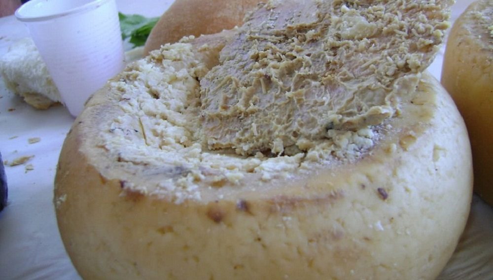 Касу Марзу – сардинский сыр
