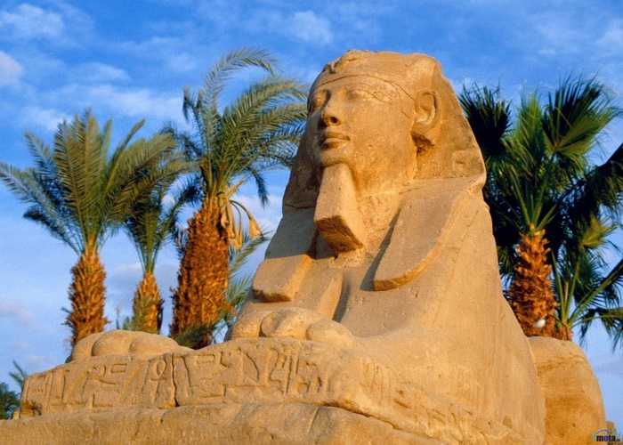 Путешествие в Египет 4