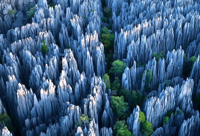 Stone Forest. See with your own eyes 3