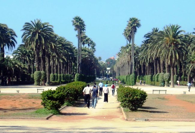The economic and cultural capital of Morocco Casablanca 4