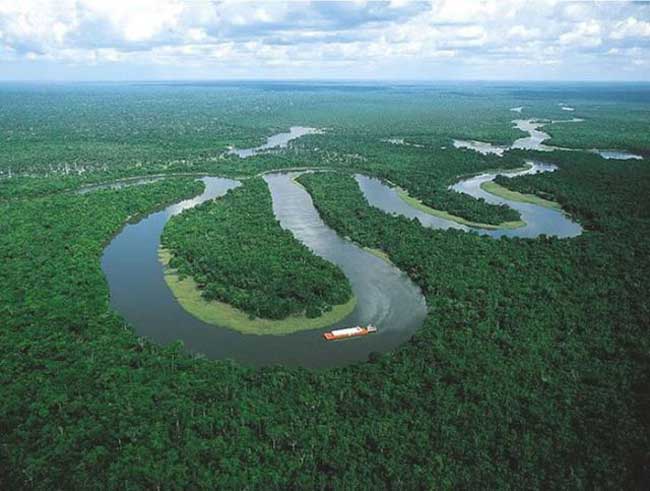 breathtaking shots of the amazon forest 640 03