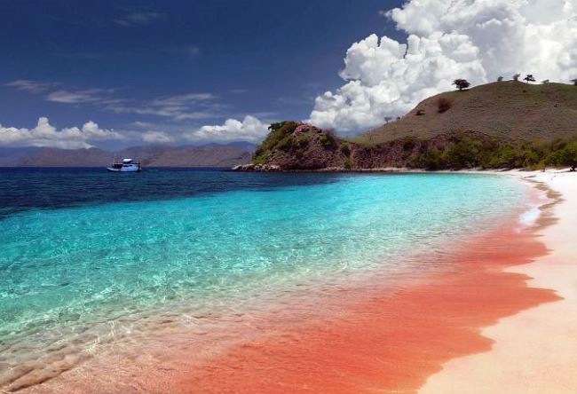 Розовый пляж острова Харбор 3
