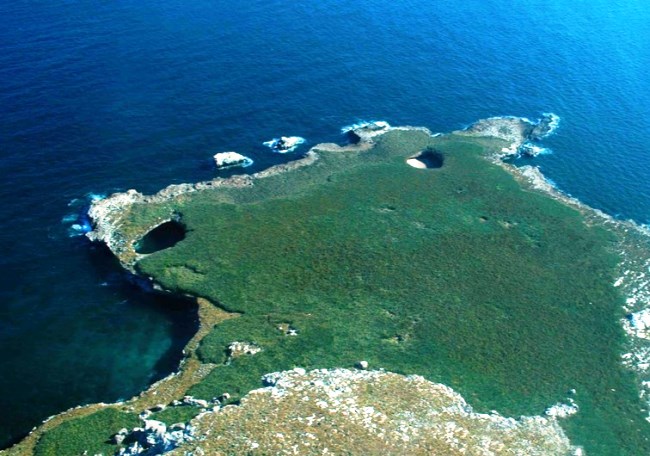 Остров который открыл Жак Ив Кусто 2