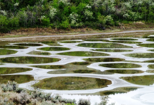 Spotted Lake Spotted Lake near Osoyoos 3