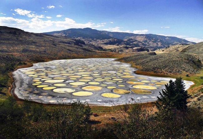 Spotted Lake Spotted Lake near Osoyoos 5