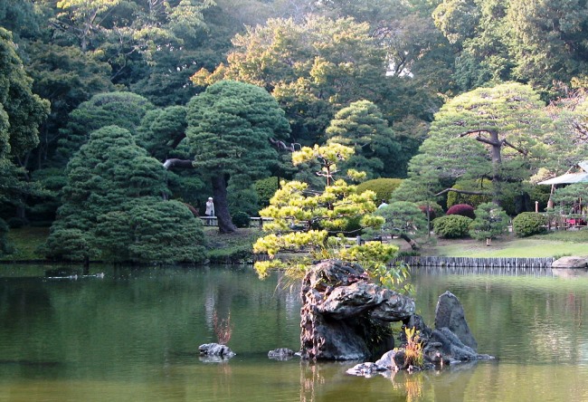 Поэтичный сад Rikugien в Токио 4