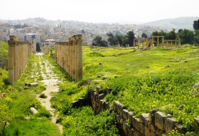 Antiquities of the Jews or the city of Jerash 2