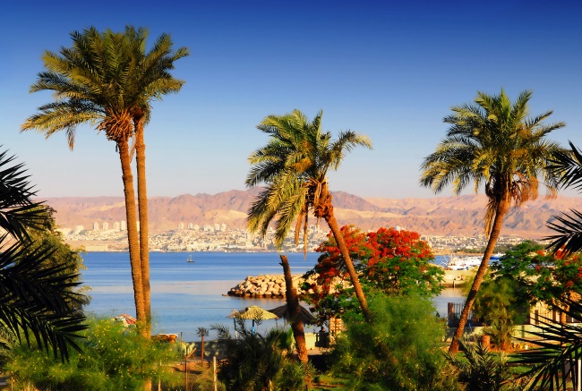 Aqaba is the best place to find 3