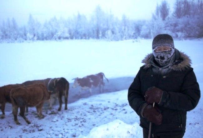 The absolute Pole of Cold - the Oymyakon village 3