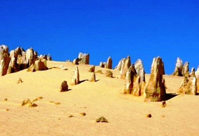 Pinnacles Desert Beauty 5