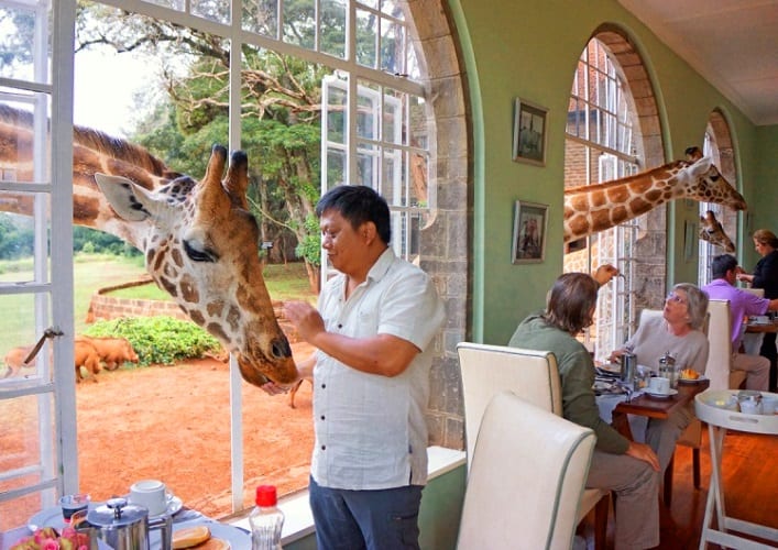 Завтрак с жирафами 3