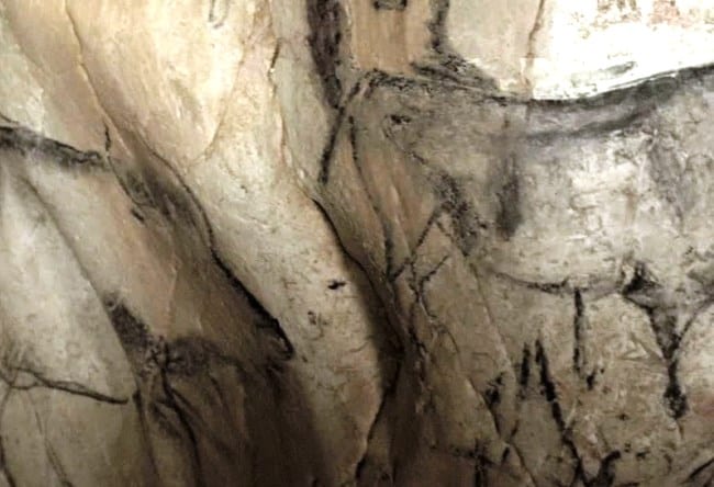 Пещера Шове возрастом более тридцати тысяч лет 4