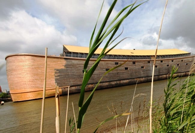 Ноев ковчег в Нидерландах 3