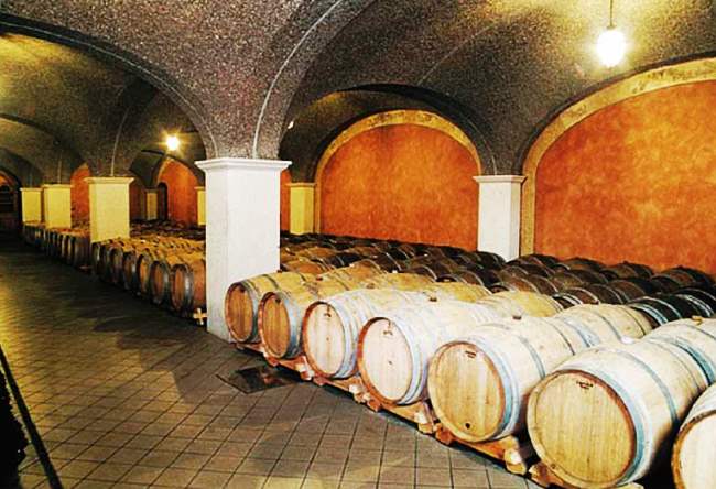 Wine tourism in Italy 4