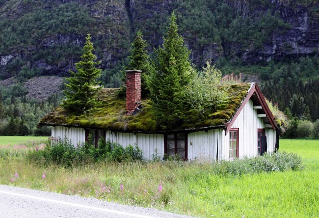 Country trolls and gnomes - Norway 5
