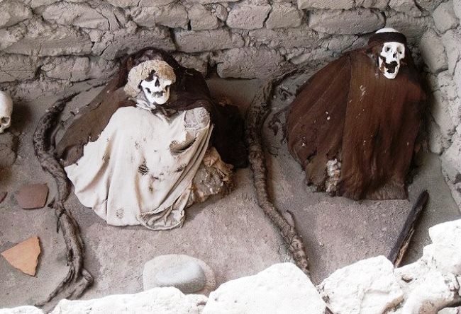 City skeletons or necropolis Chowchilla 5