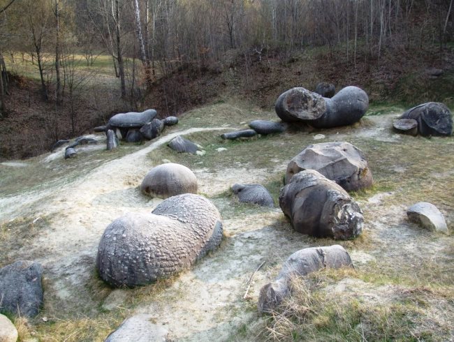 Трованты  живые камни Румынии 2