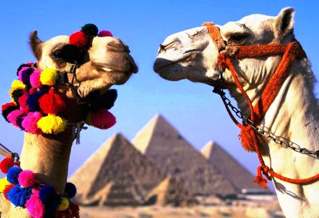 Какие достопримечательности можно увидеть в Египте 5