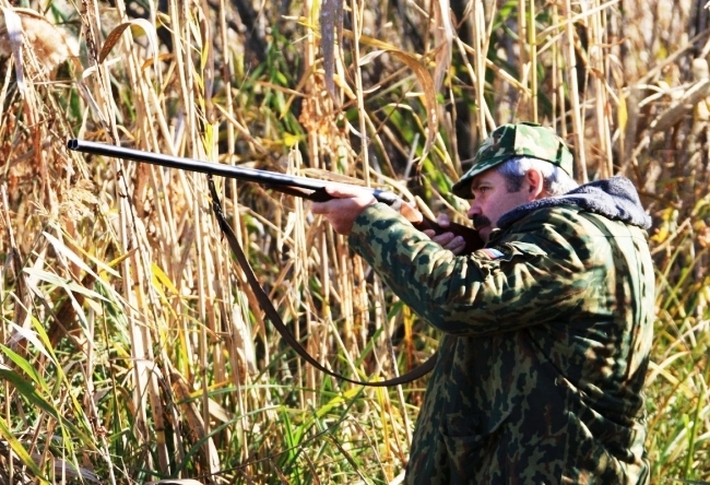 Охота на косулю в Белоруссии 4