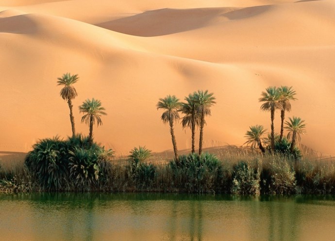 Оазис в пустыне 4