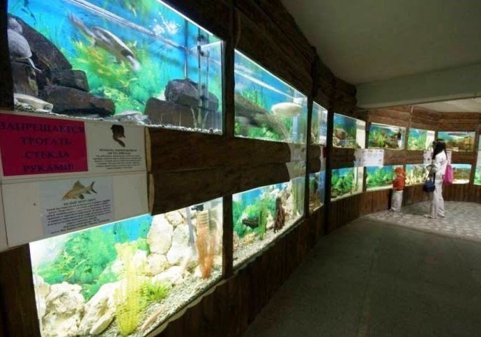 Алуштинский акваиум фото мира прозрачной воды 2