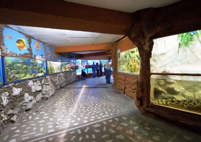 Алуштинский акваиум фото мира прозрачной воды 4