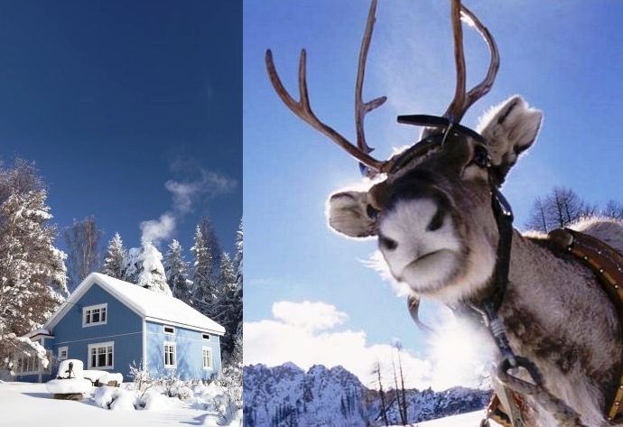 Интересные факты из зимнего путешествия по Финляндии 2