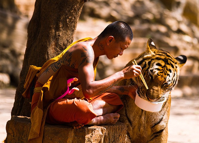 Куда поехать отдыхать Тигриный монастырь в Таиланде 5
