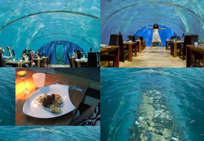 Путешествие на Мальдивы Ithaa Undersea Restaurant 5