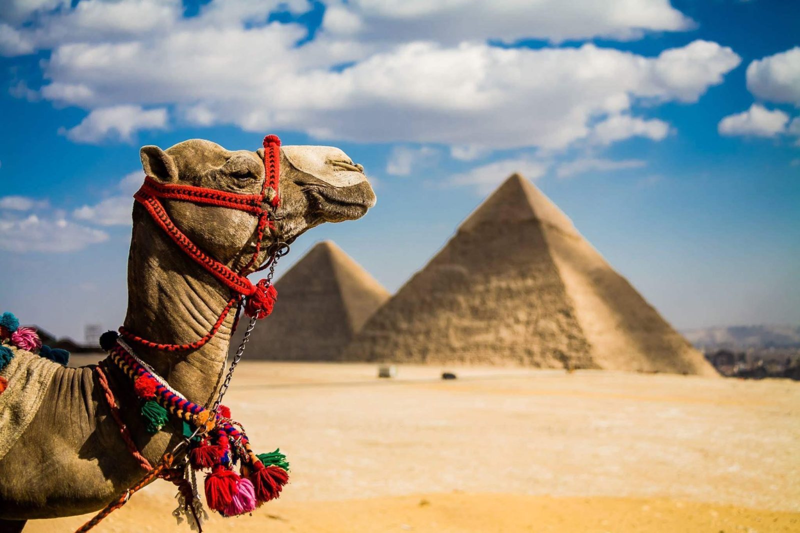 недорогие туры в Египет