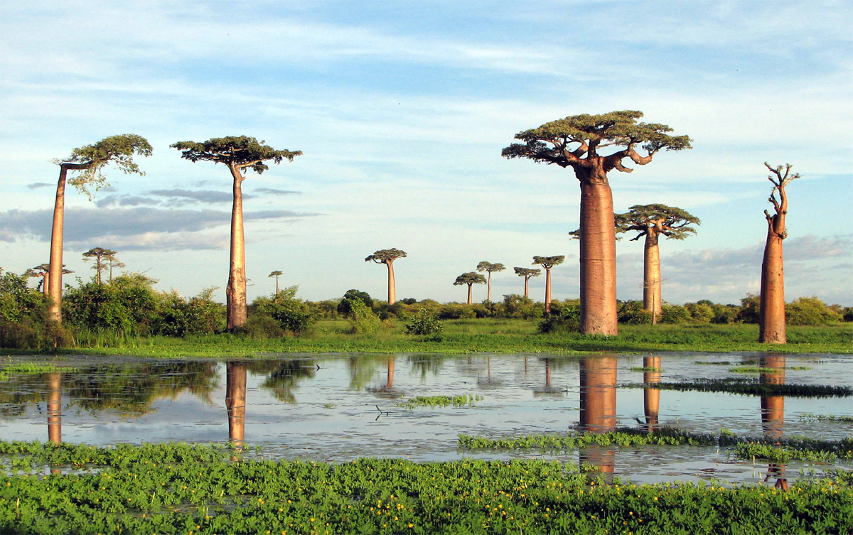 Мадагаскар туры