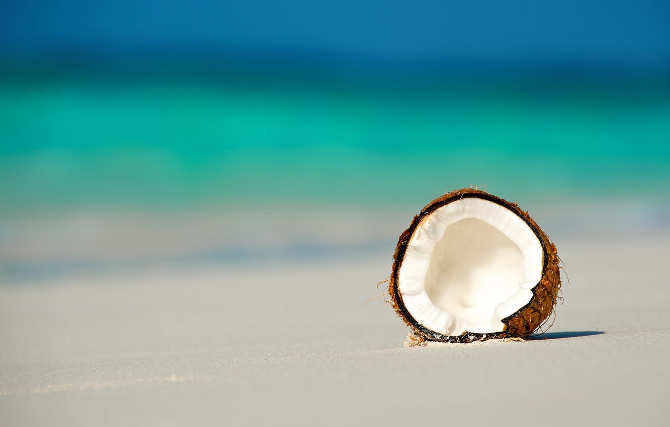 maldivy-okean-plyazh-kokos-oreh