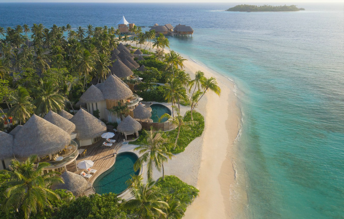 maldivy-more-bungalo-palmy-otel